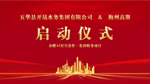 开晟水务集团&梅州高斯 金蝶AI星空套件·集团财...